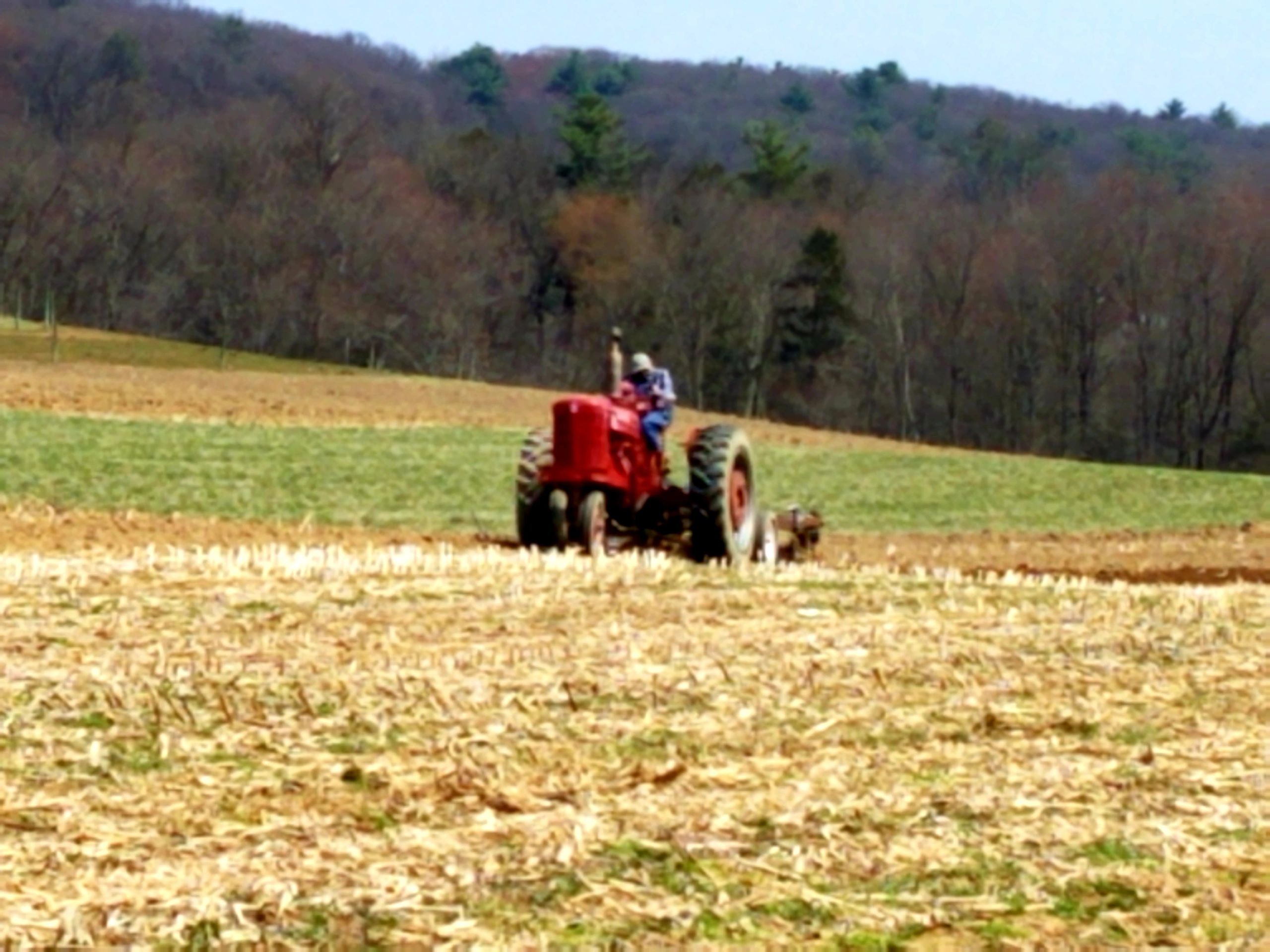 Miller Charm Farm Butcher Tamaqua, Pennsylvania